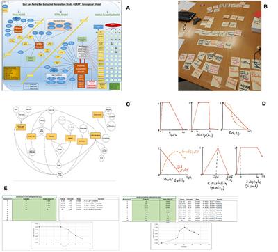 Unpacking the Black Box: Demystifying Ecological Models Through Interactive Workshops and Hands-On Learning